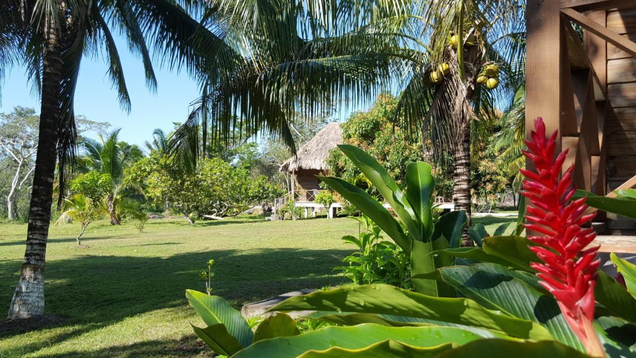 Nature Resort Bermudian Landing Exteriér fotografie